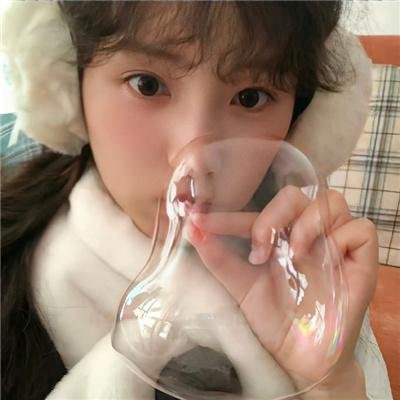 我和我的伙伴
