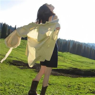黑帮女婿