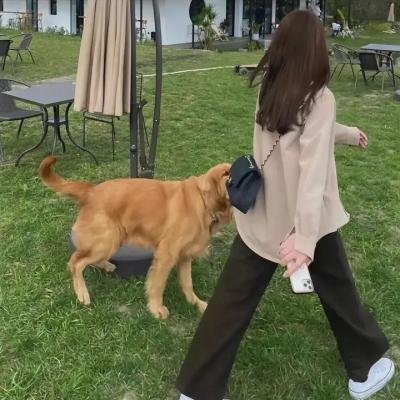 叻女钓鱼记趣